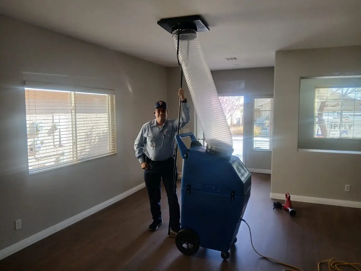 Professional Dryer Vent Cleaning work inside a Fallon home